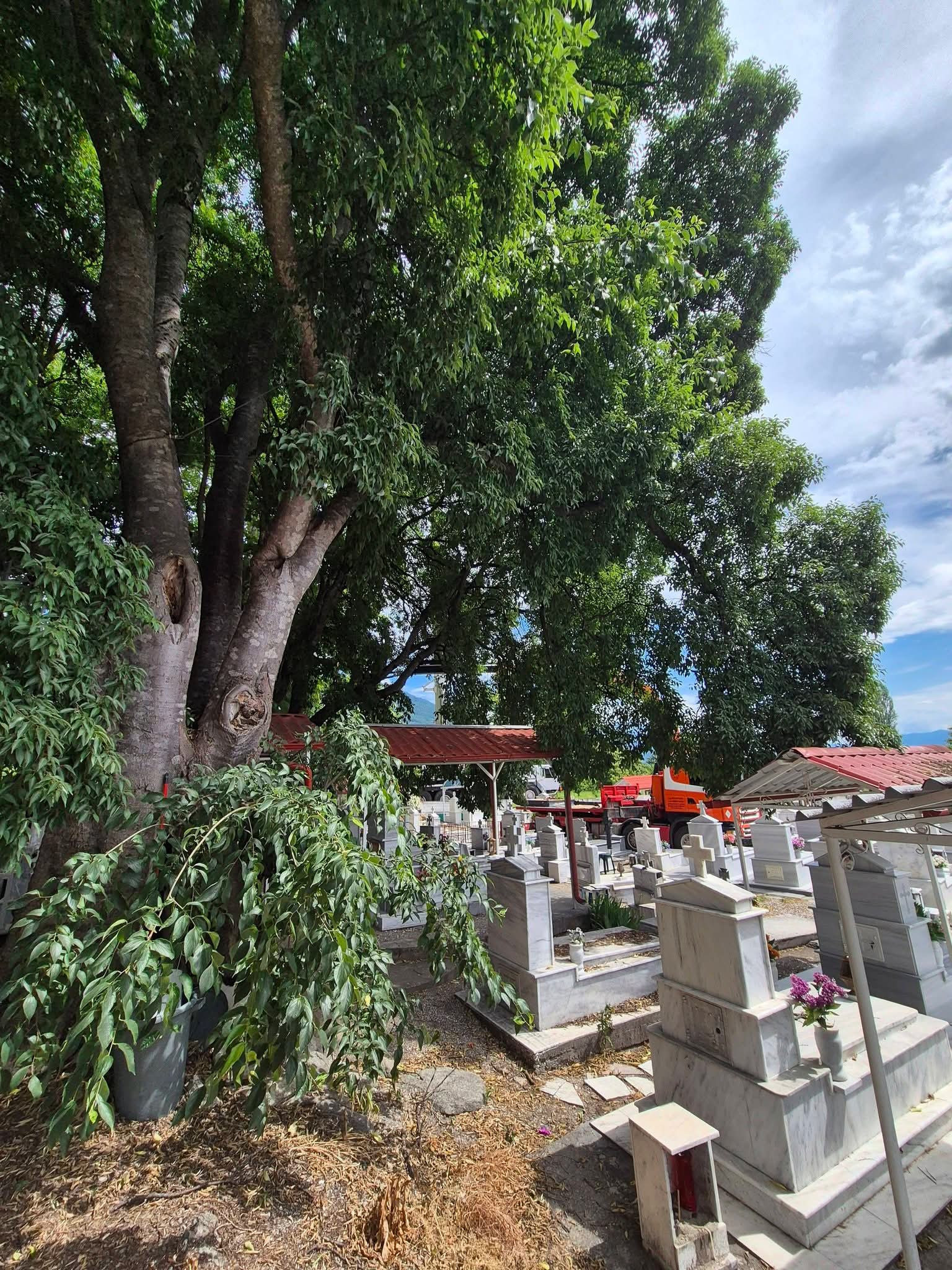 Νίκος Παρούτογλου: Συνεχίζουμε καθημερινά, με παρεμβάσεις μικρές και μεγάλες, που κάνουν τον Δήμο μας πιο ασφαλή και πιο ανθρώπινο.