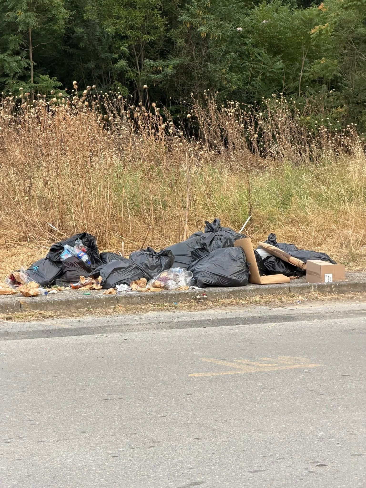 Σκύδρα: «Η γιορτή τελείωσε, τα σκουπίδια έμειναν»