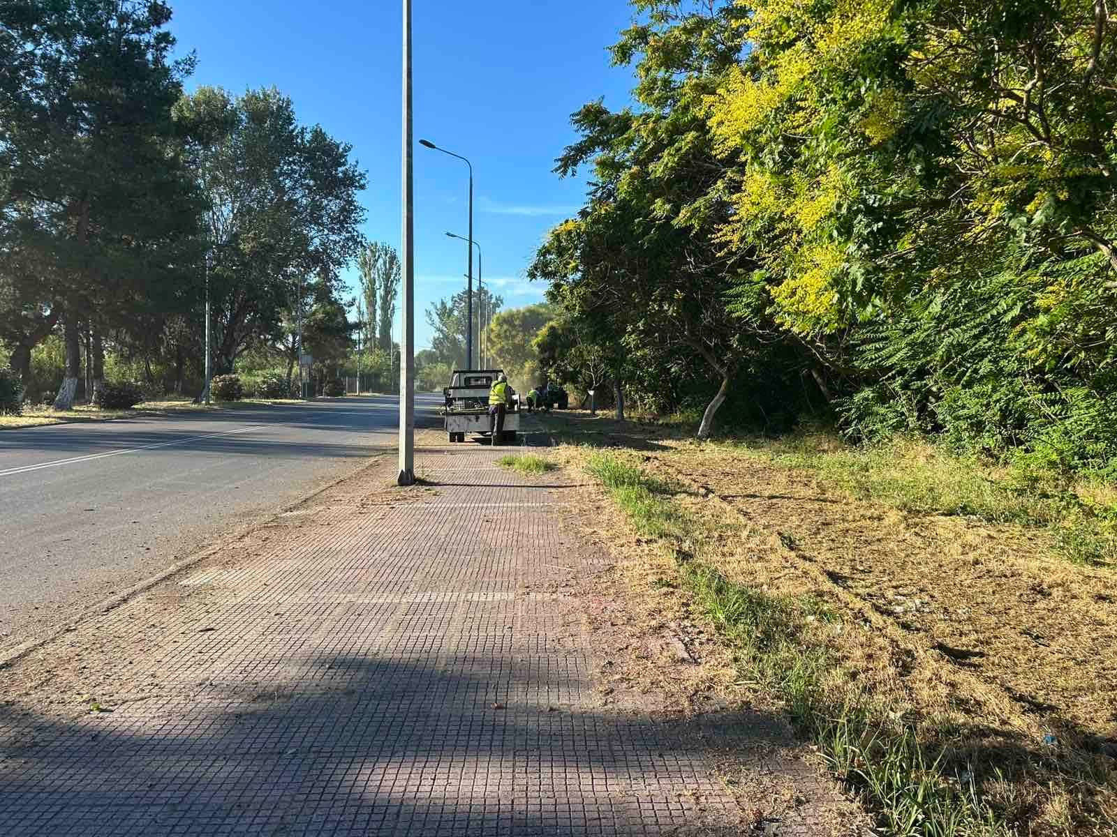 Ιγνατιάδου: Καθημερινές παρεμβάσεις στην Σκύδρα