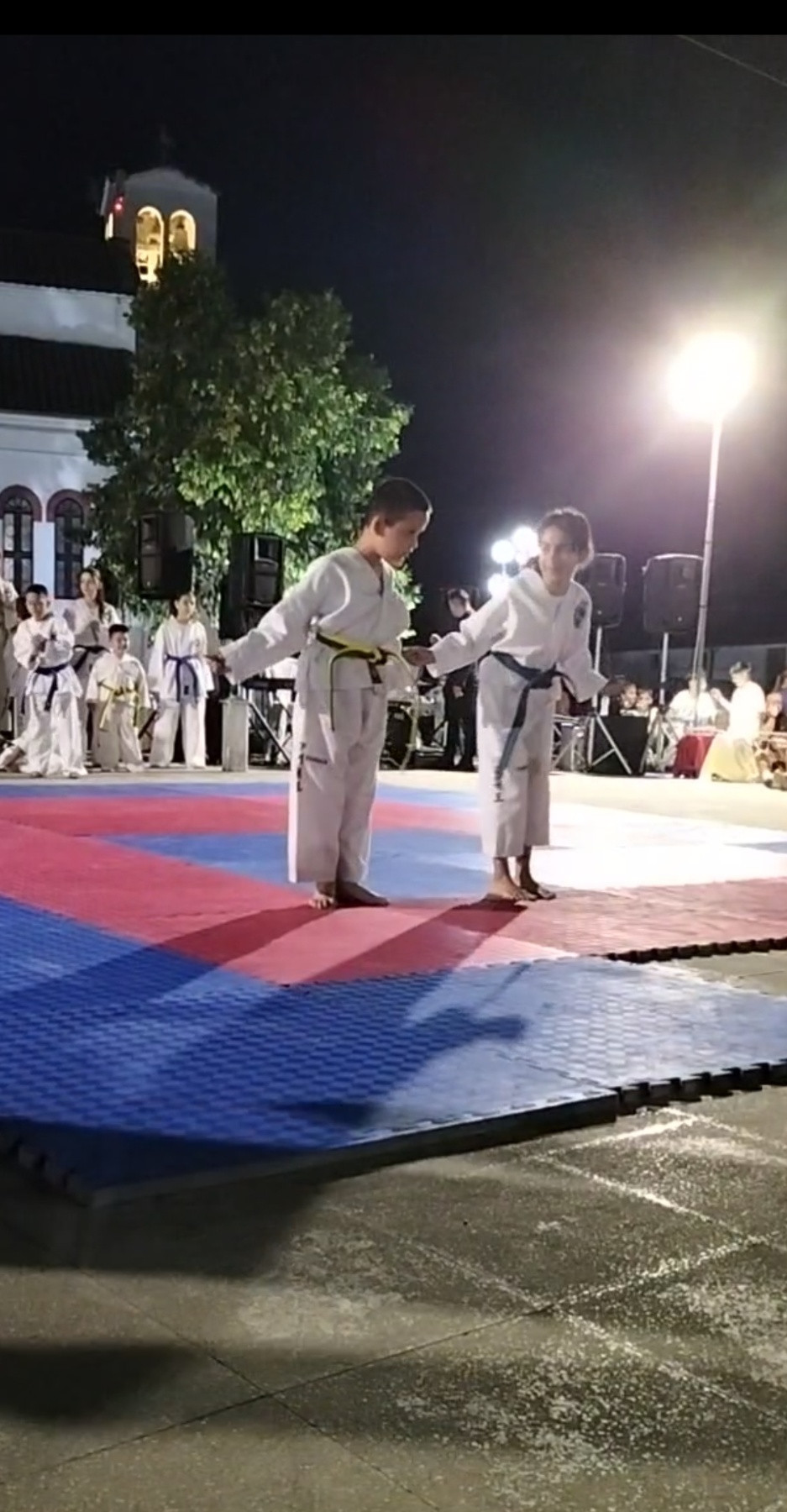 TAE KWON - DO Σκυδραϊκή Πυγμή: Σπουδαίο θέαμα στα Καλύβια Σκύδρας!