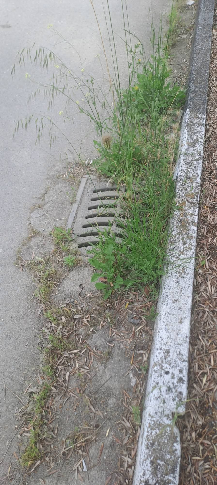 Σκουπίδια, εγκατάλειψη και παράπονα πολιτών στον Δήμο Σκύδρας – Εικόνες που προκαλούν έντονο προβληματισμό