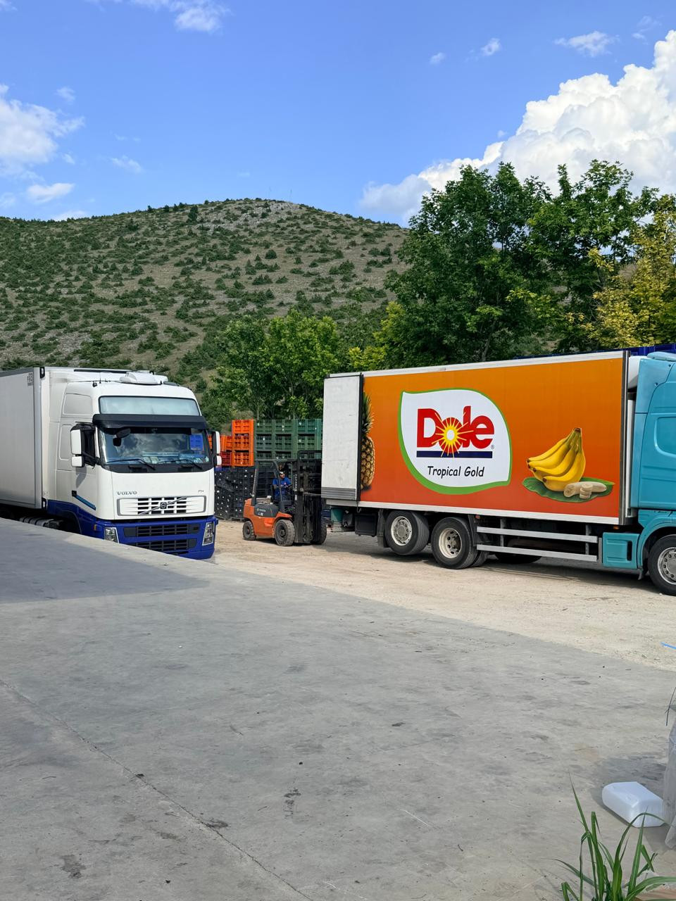 Επίσκεψη Λάκη Βασιλειάδη σε περιοχές που επλήγησαν από το χαλάζι στη Λεπτοκαρυά Γιαννιτσών και την Βεγορίτιδα