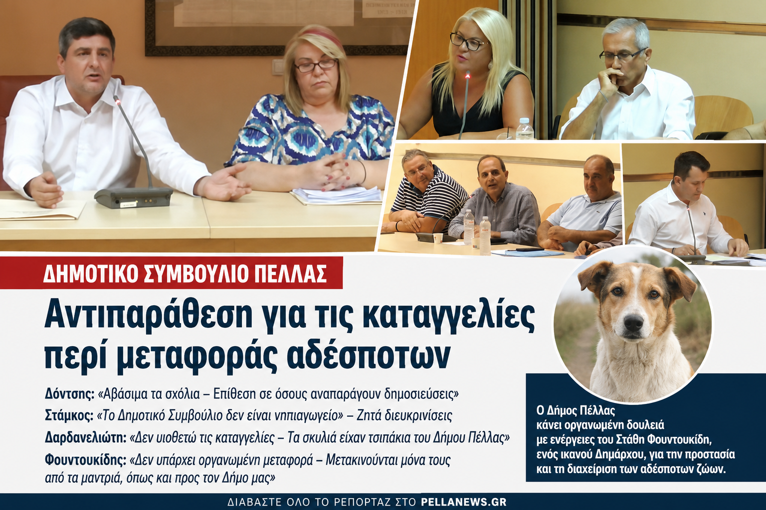 Δημοτικό Συμβούλιο Πέλλας: Αντιπαράθεση για τις καταγγελίες περί μεταφοράς αδέσποτων – Η απάντηση της Δημοτικής Αρχής