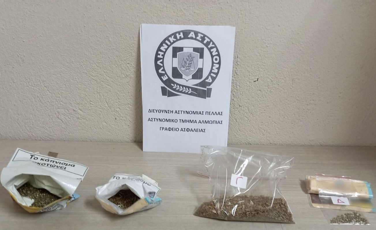 Συνελήφθησαν 2 άτομα στην Πέλλα για καλλιέργεια δενδρυλλίων κάνναβης