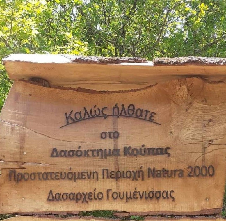 Πρωτοβουλία χορήγησης υποτροφιών από τον Συνεταιρισμό Διαχείρισης Δάσους Κούπας για σπουδές στην ειδικότητα «Συνοδός Βουνού»