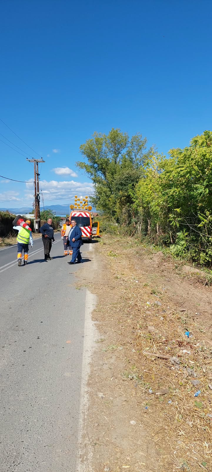 Εργασίες συντήρησης και καθαρισμοί, παραπλεύρως του οδικού δικτύου αρμοδιότητας Περιφερειακής Ενότητας Πέλλας