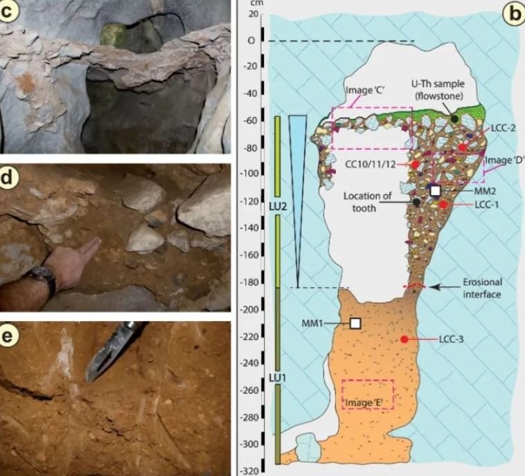 Παιδικό δοντάκι ηλικίας 130.000 ετών ανακαλύφθηκε σε σπήλαιο
