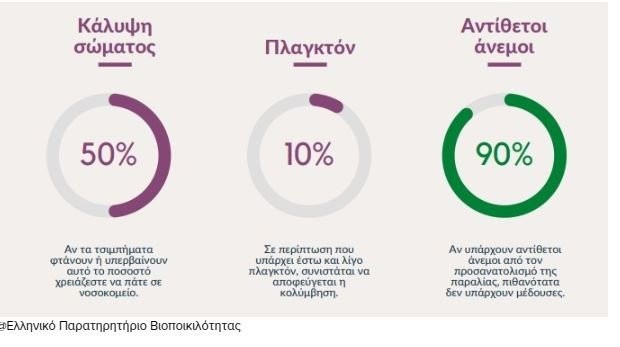 Συναγερμός για την μωβ μέδουσα που απειλεί και το φετινό καλοκαίρι