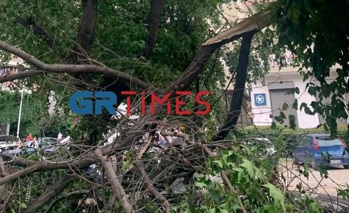 Θεσσαλονίκη- Άλλαξε απότομα ο καιρός από καύσωνα σε βροχές και πτώσεις δέντρων