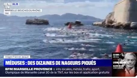 Γαλλία: Μέδουσες τσίμπησαν πάνω από 80 άτομα σε αγώνες κολύμβησης