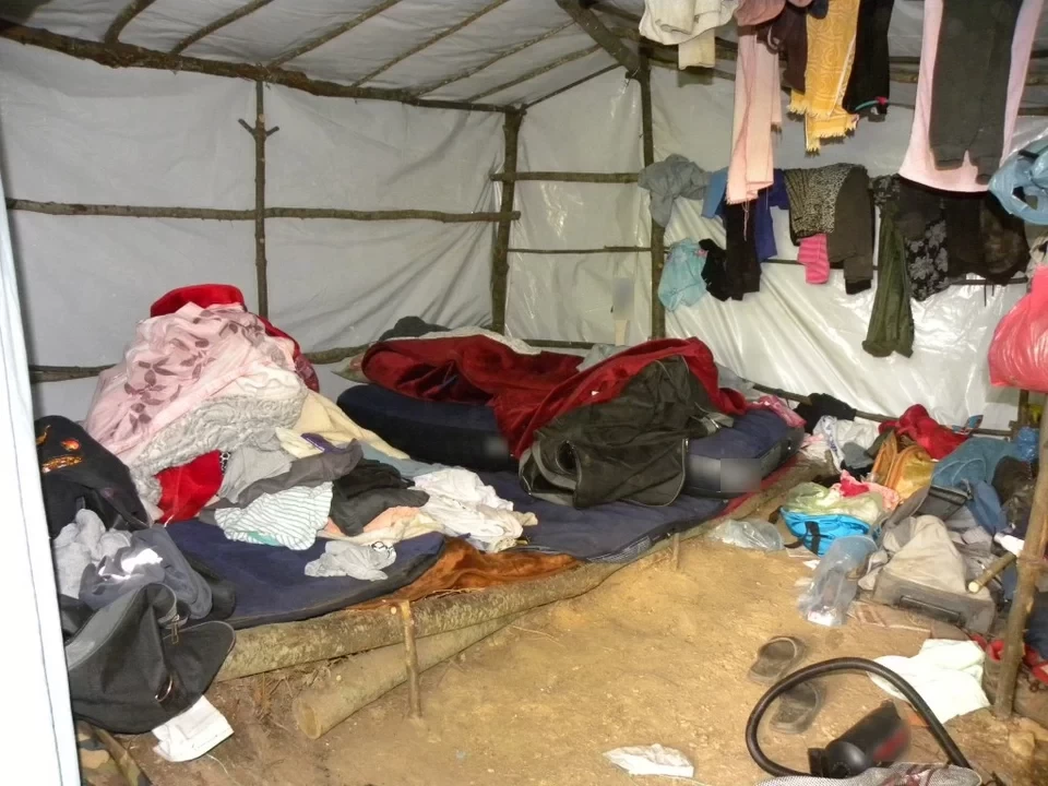 Όλυμπος: Βρέθηκε φυτεία-μαμούθ δενδρυλλίων κάνναβης -Κοντά στα 40 εκατ. ευρώ το κέρδος του κυκλώματος