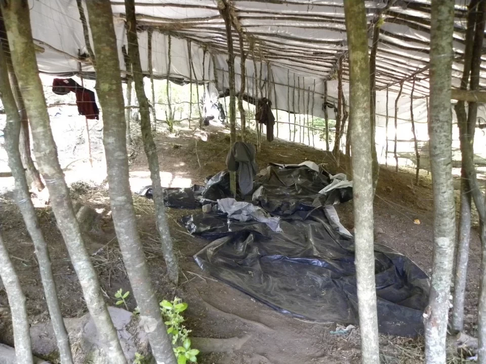 Όλυμπος: Βρέθηκε φυτεία-μαμούθ δενδρυλλίων κάνναβης -Κοντά στα 40 εκατ. ευρώ το κέρδος του κυκλώματος