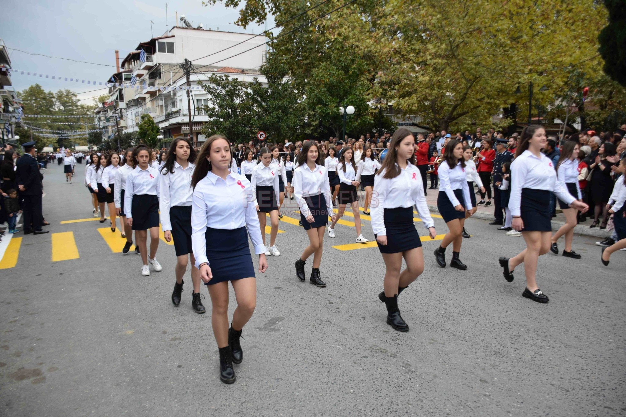 Σκύδρα: περήφανα νιάτα τίμησαν την επέτειο του "ΟΧΙ" (βίντεο & φώτο)