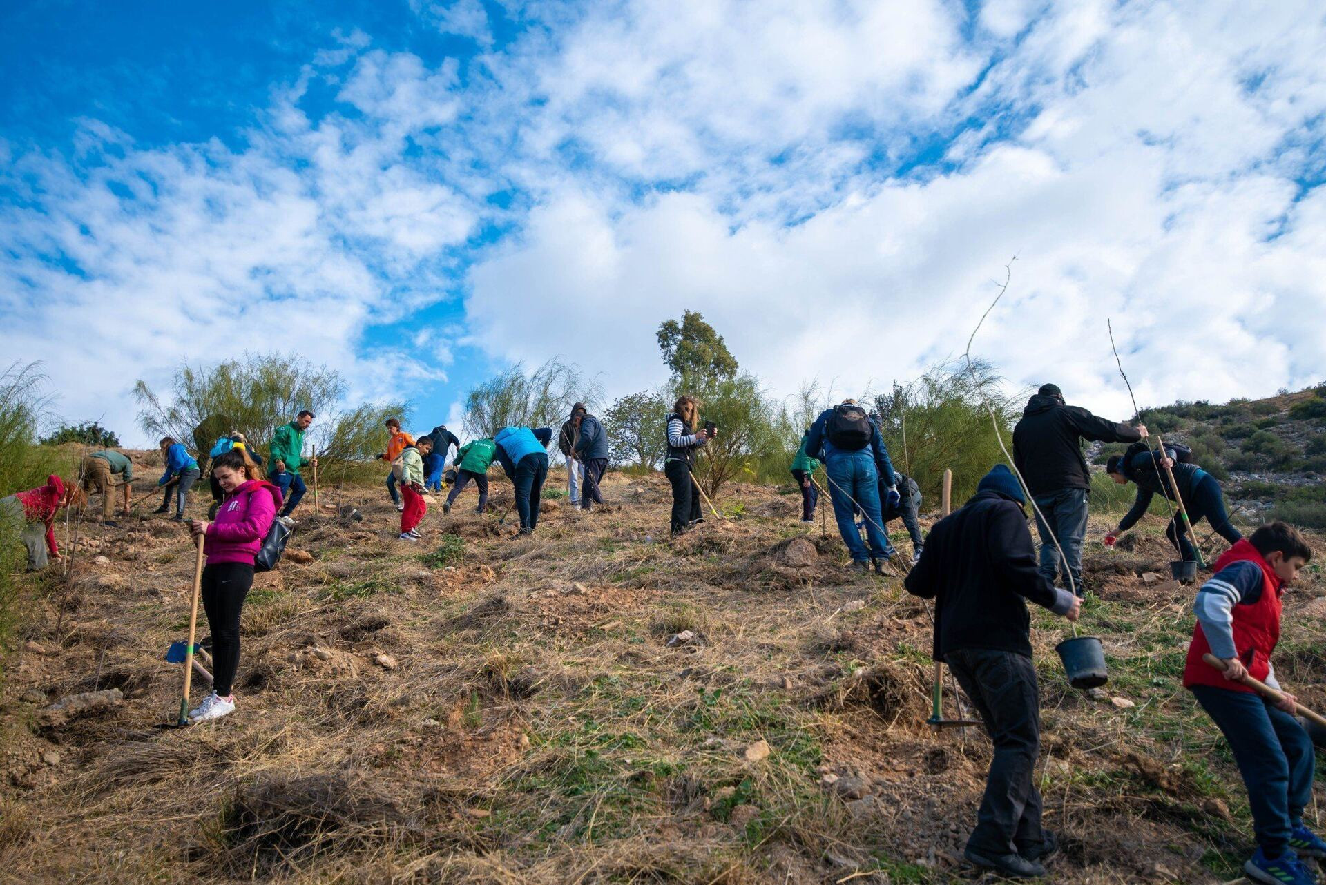 Υμηττός: 1500 νέα δέντρα θα χαρίζουν από σήμερα το οξυγόνο τους
