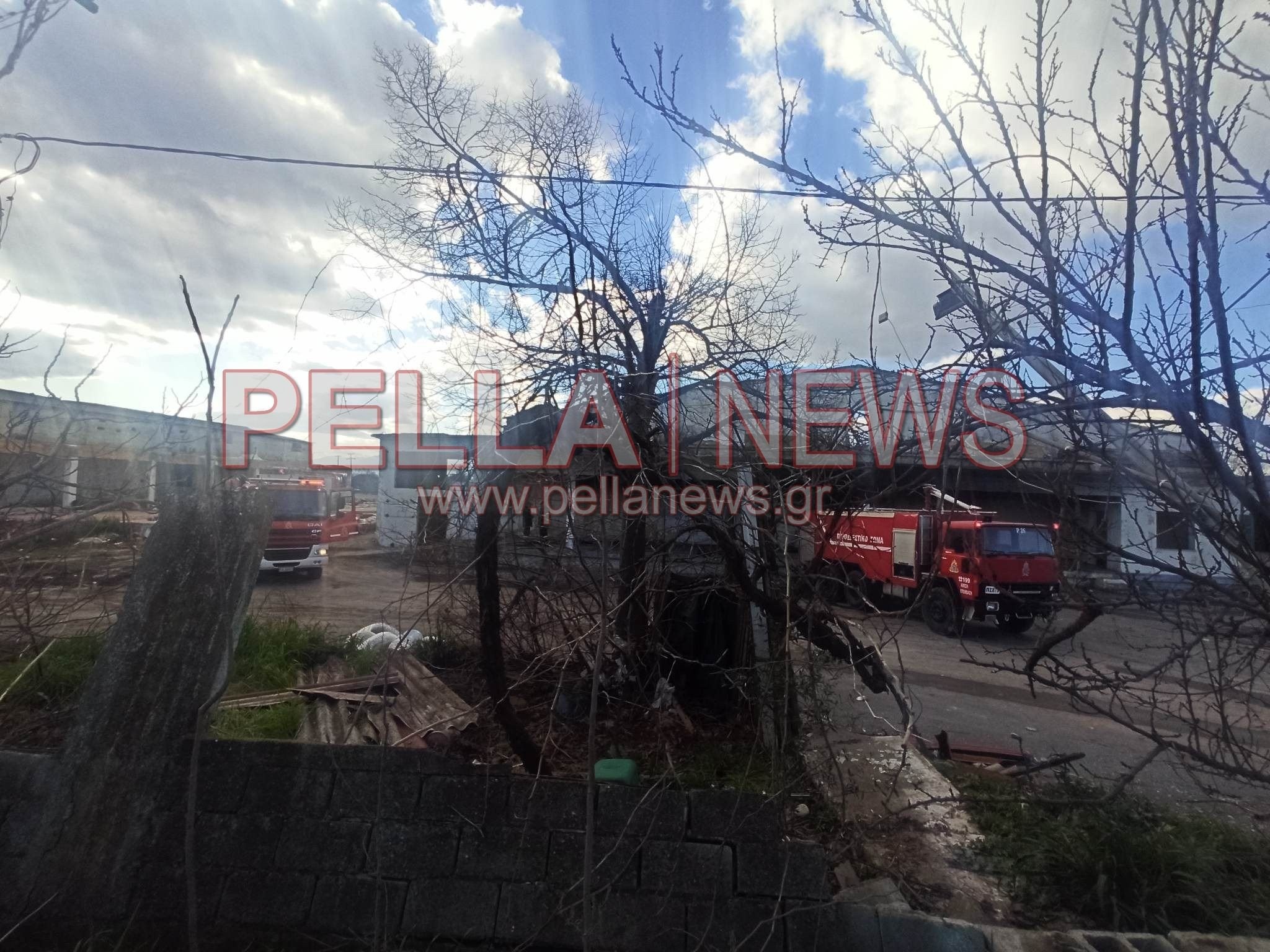 Φωτιά στα Γιαννιτσά: Επιχείρηση της Π.Υ. στο 2ο χιλ. Γιαννιτσών-Αλεξάνδρειας (φώτος)