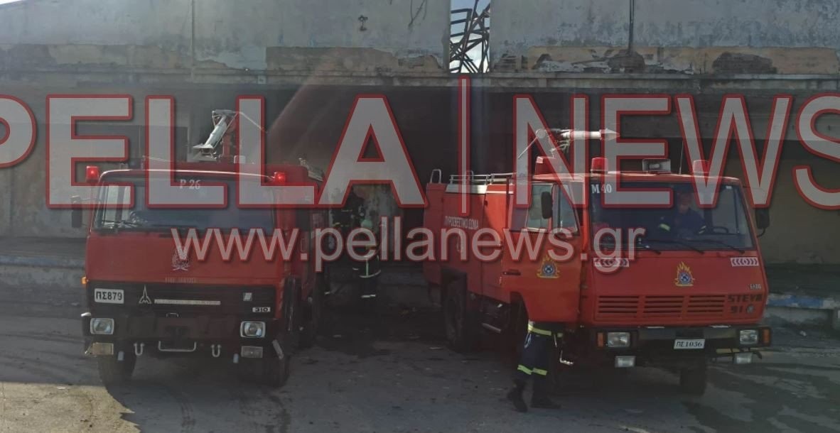 Φωτιά στα Γιαννιτσά: Επιχείρηση της Π.Υ. στο 2ο χιλ. Γιαννιτσών-Αλεξάνδρειας (φώτος)