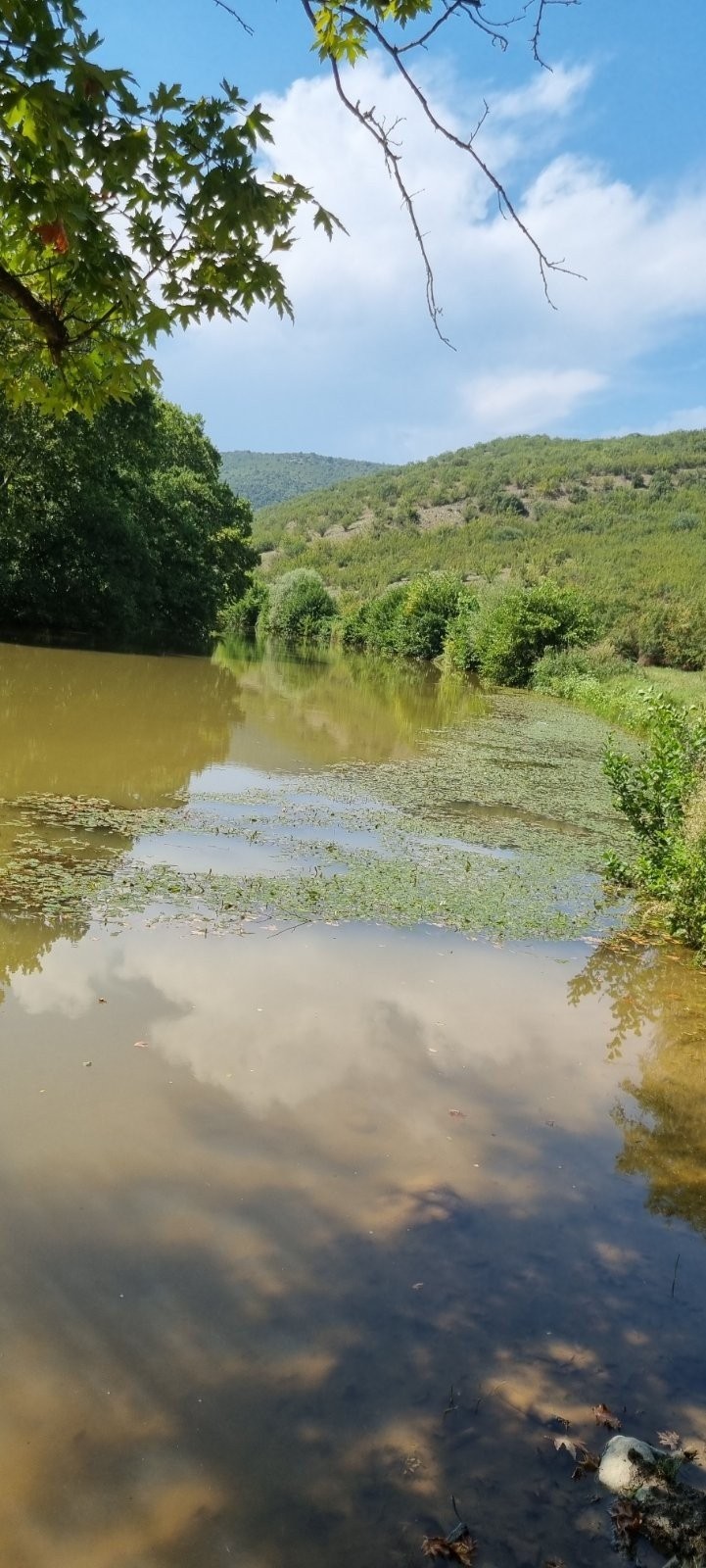 Φράγμα Αλμωπαίου: Για δικαίωση του αγώνα του κάνει λόγο ο Γιώργος Καρασμάνης