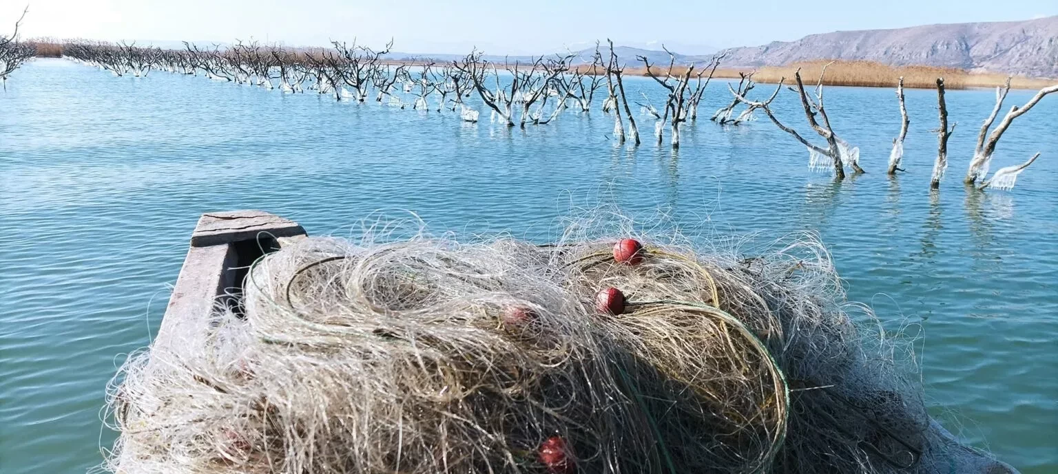 Οι «υδρόβιες» ροδακινιές της λίμνης Βεγορίτιδας