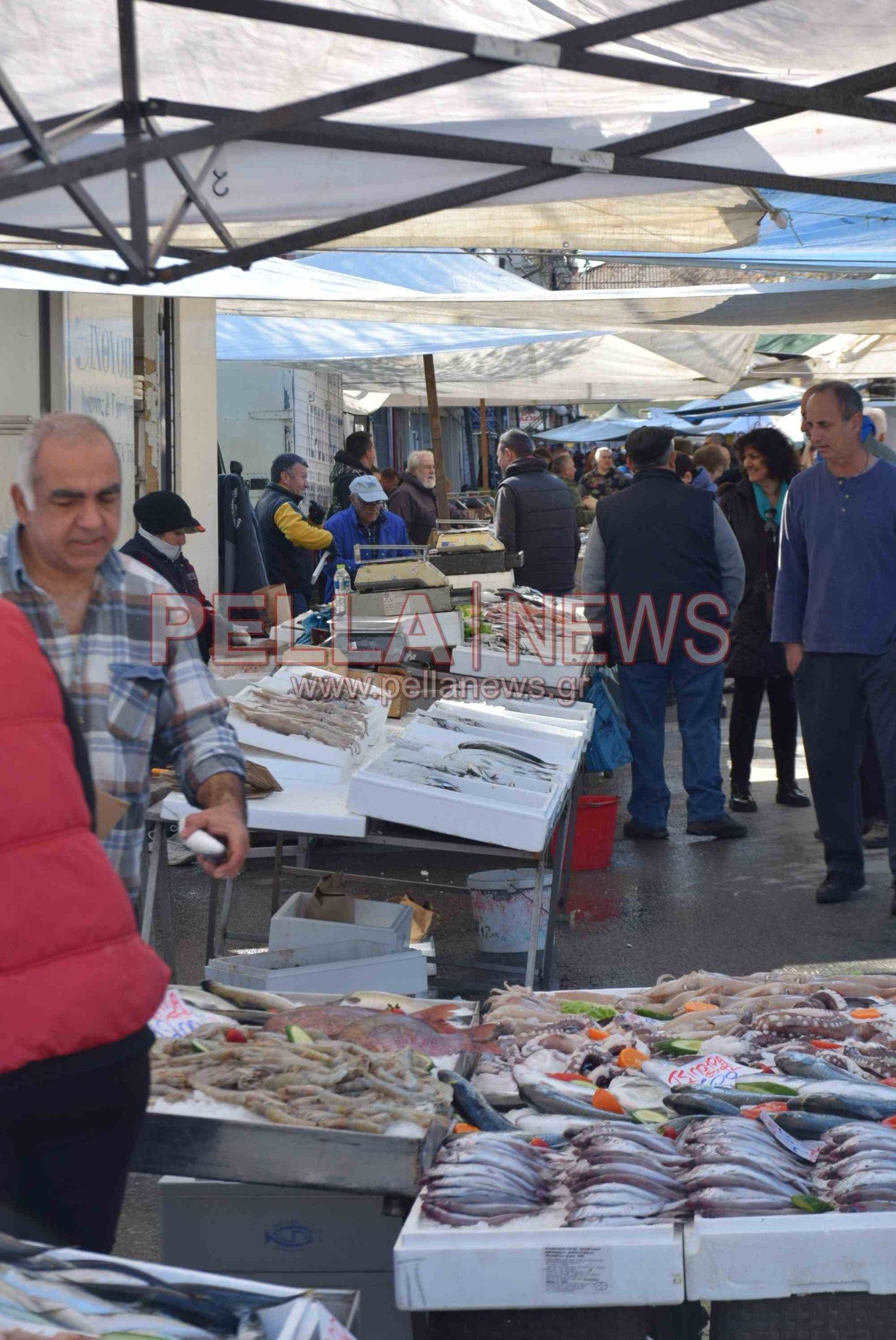 Το «διαμάντι» της Σκύδρας είναι το παζάρι της – φωτογραφικές στιγμές από την κάμερα του pellanews.gr