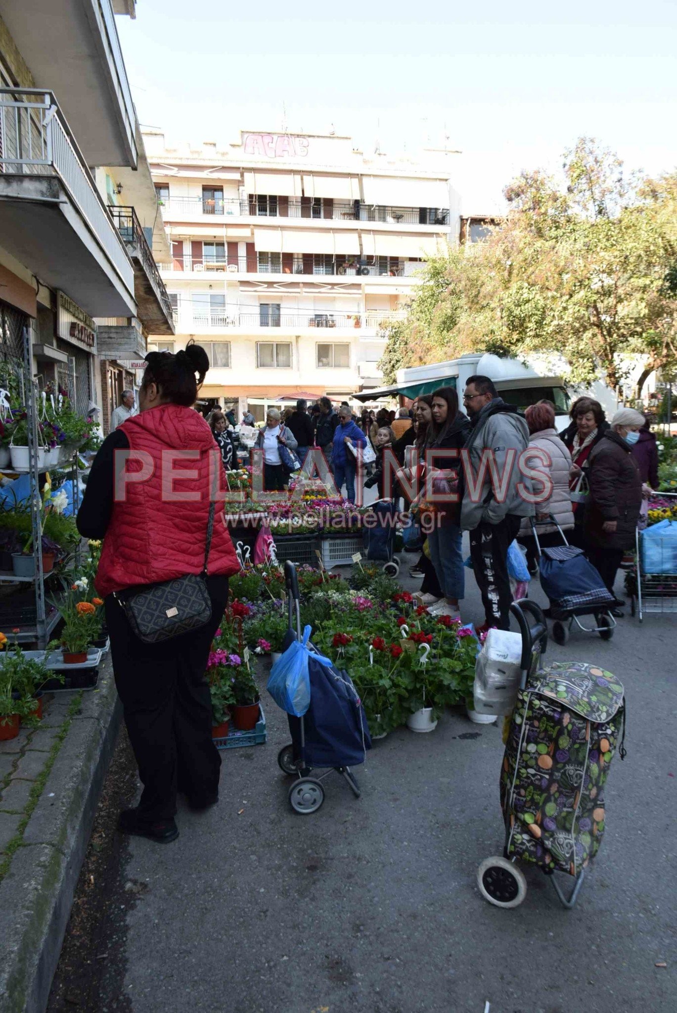 Το «διαμάντι» της Σκύδρας είναι το παζάρι της – φωτογραφικές στιγμές από την κάμερα του pellanews.gr