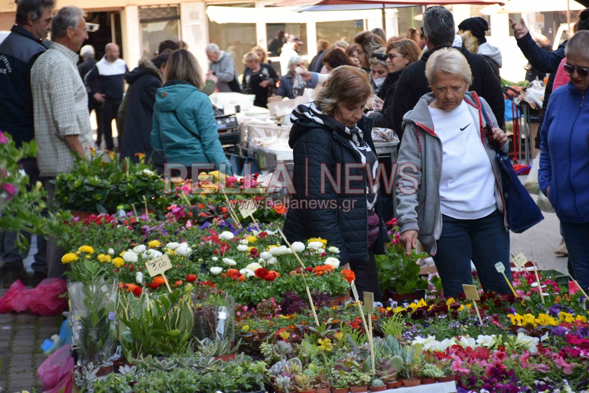 Το «διαμάντι» της Σκύδρας είναι το παζάρι της – φωτογραφικές στιγμές από την κάμερα του pellanews.gr