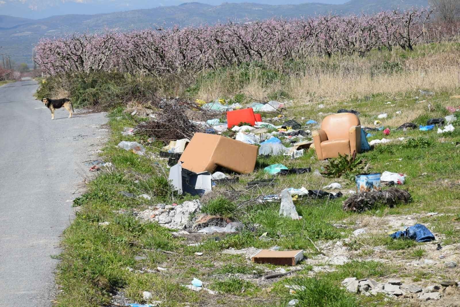 Λιποχώρι – Καλύβια: Οι όμορφες ανθισμένες ροδακινιές και οι άσχημες χωματερές ανάμεσα τους…για να μην ξεχνιόμαστε!