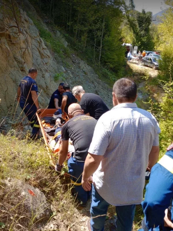 Άρτα: Άνδρας δέχθηκε επίθεση από αρκούδα -Γλίτωσε από θαύμα