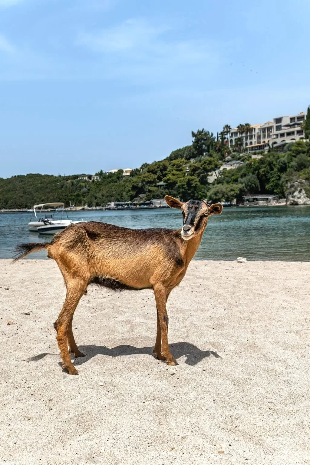 Μπέλα Βράκα: Η πιο  ωραία παραλία στα Σύβοτα