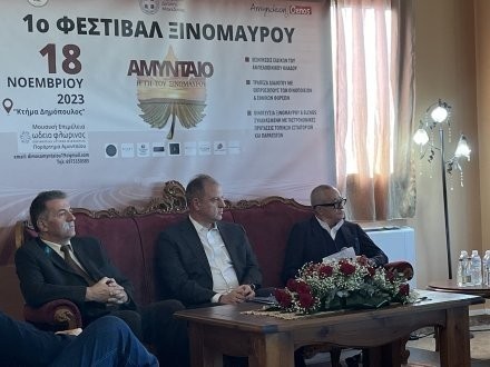 Παρεμβάσεις ενίσχυσης οινικού και αμπελουργικού κλάδου ανέλυσε ο Σταμενίτης στο 1Ο Φεστιβάλ Ξινόμαυρου