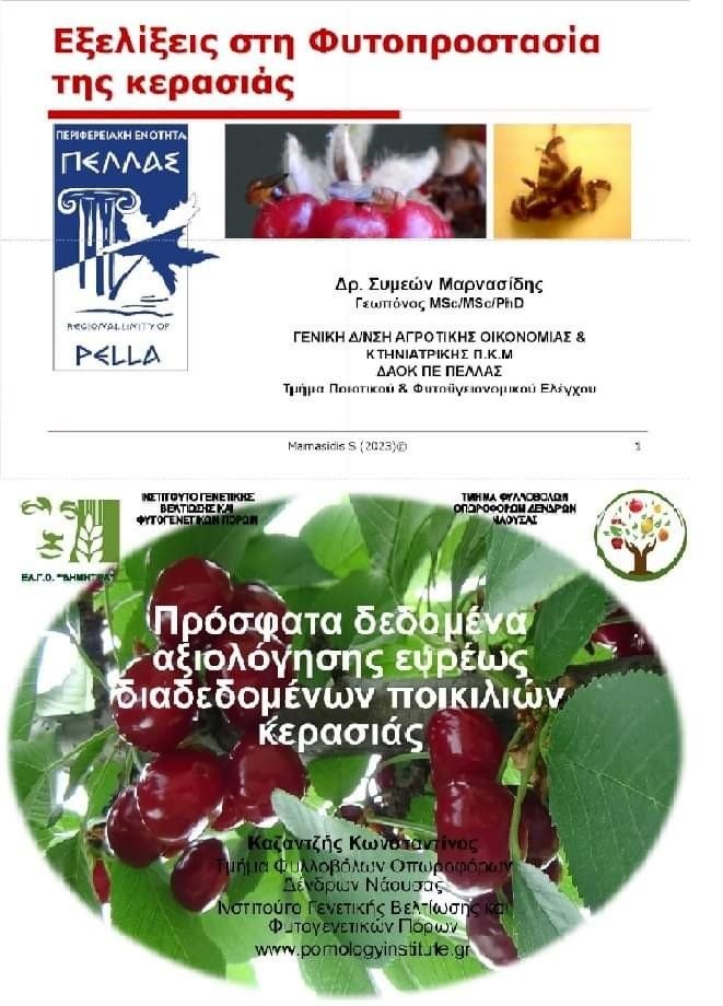 Εκδήλωση για το κεράσι στον Μεγαπλάτανο Αλμωπίας
