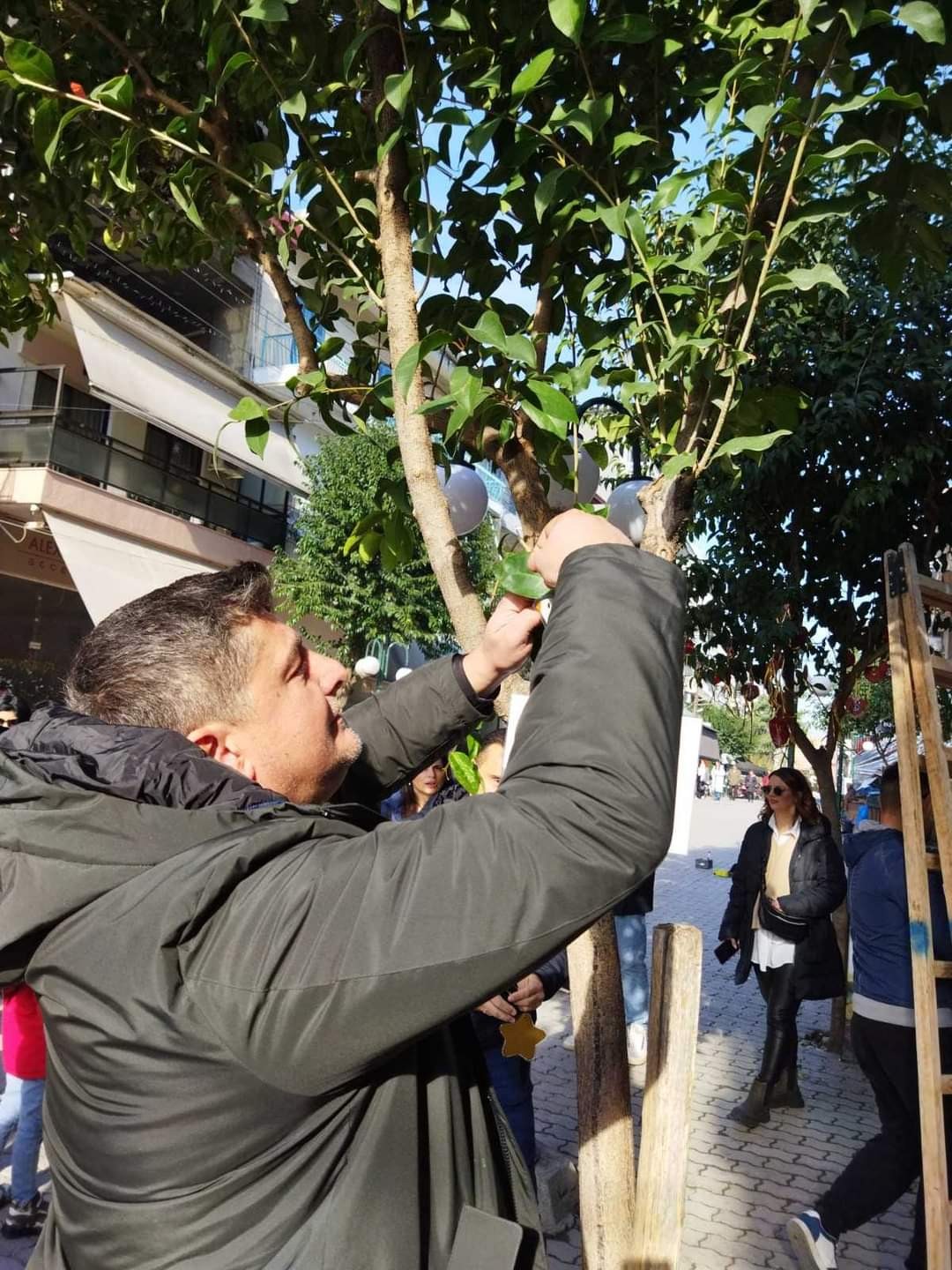 Στόλισε δέντρα με τα παιδιά ο νέος Δήμαρχος Πέλλας