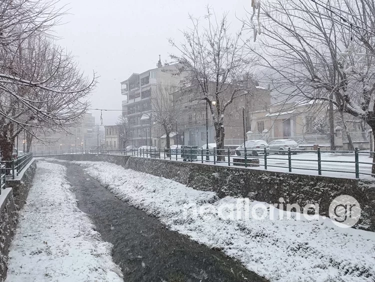 Έντονη χιονόπτωση στη Φλώρινα -Πού υπάρχουν προβλήματα