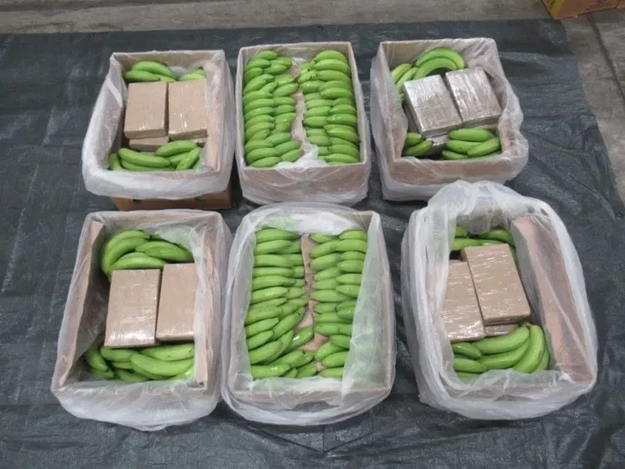 Κατάσχεση ποσότητας-ρεκόρ 5,7 τόνων κοκαΐνης στη Βρετανία - Ήταν κρυμμένη σε φορτίο με μπανάνες