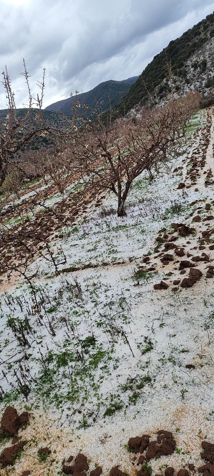 Τεράστιες ζημιές από το χαλάζι