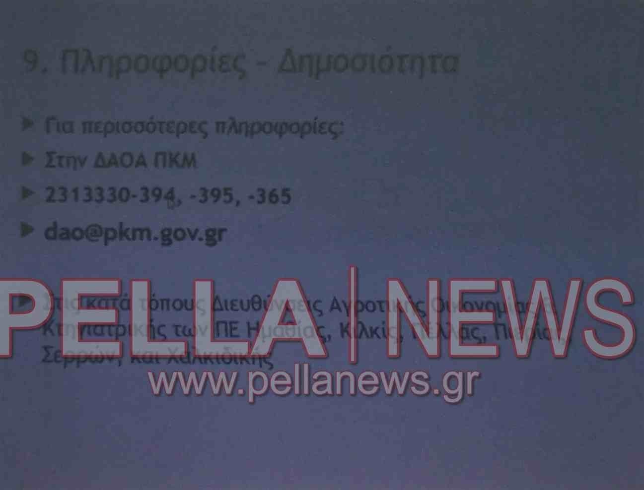 Προδημοσίευση πρώτης πρόσκλησης προγράμματος Νέων Αγροτών - ενημερωτική ημερίδα στη Σκύδρα