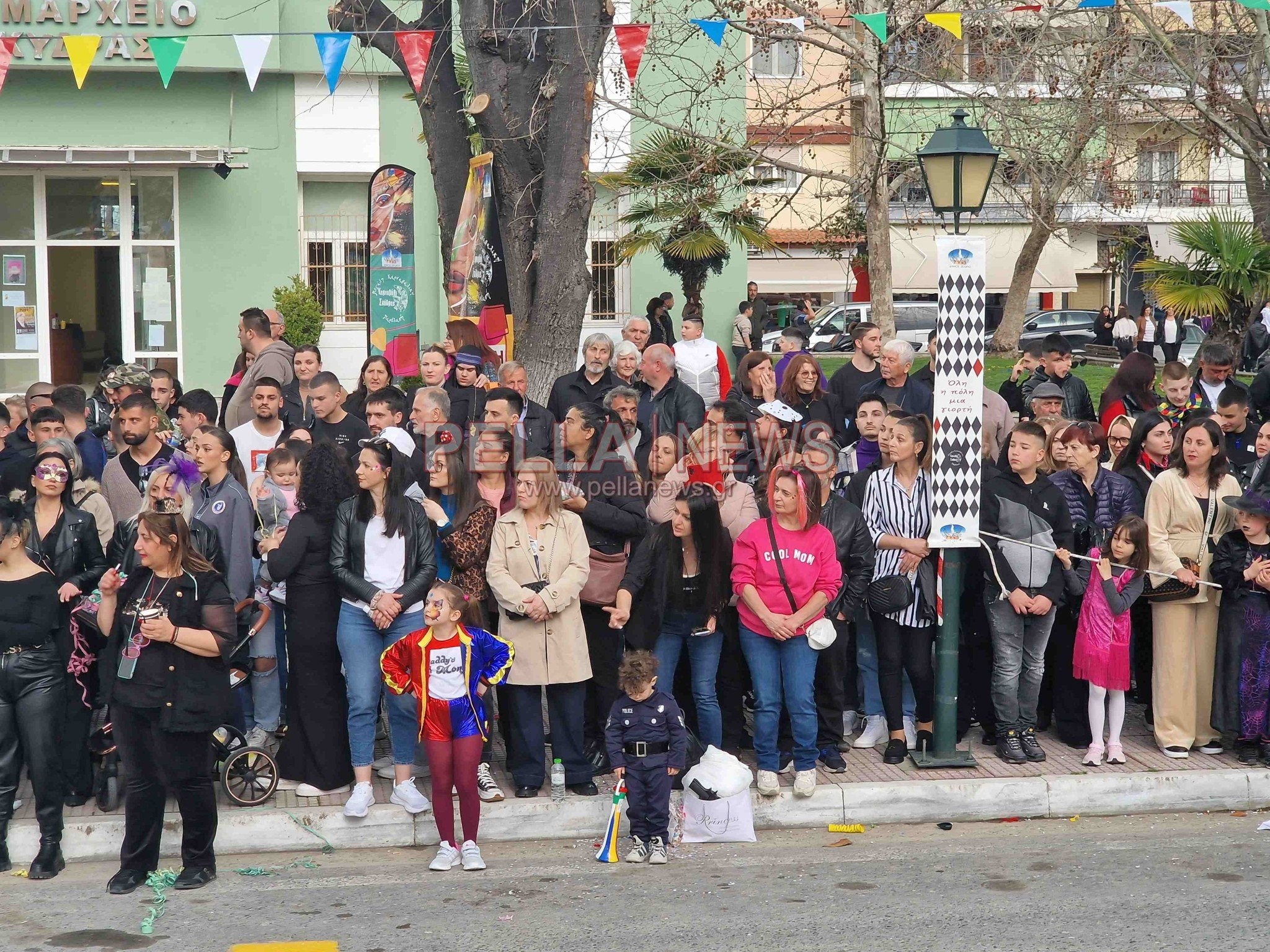 Καρναβαλική παρέλαση Σκύδρας: αν και «χαλαζοχτυπημένη» απέδωσε καρπούς και κέφι (βίντεο/φωτο)