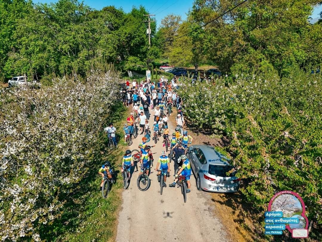 Δάνης Τζαμτζής: 1η από μια σειρά δράσεων