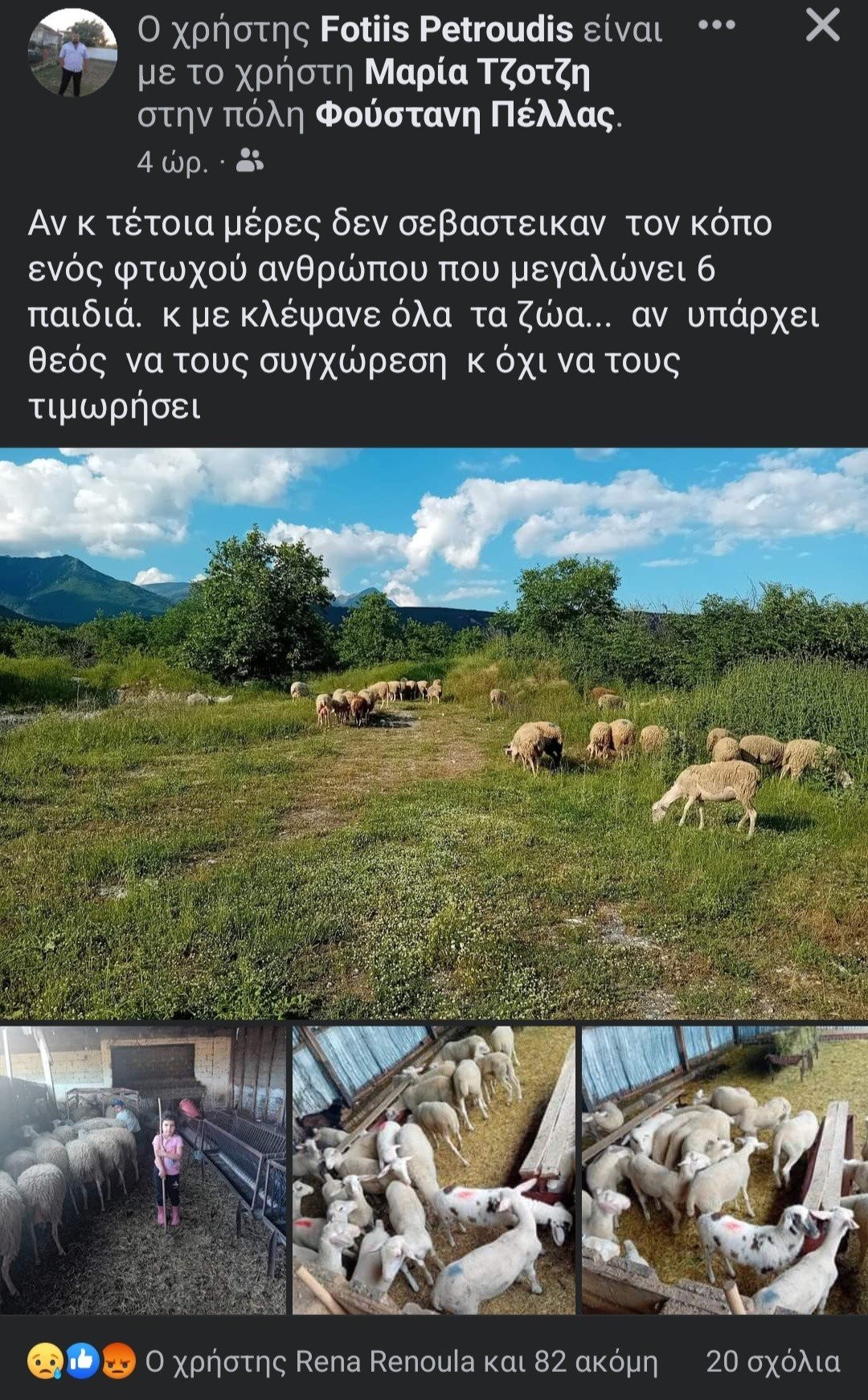 Φούστανη: Έκλεψαν αρνιά από μαντρί