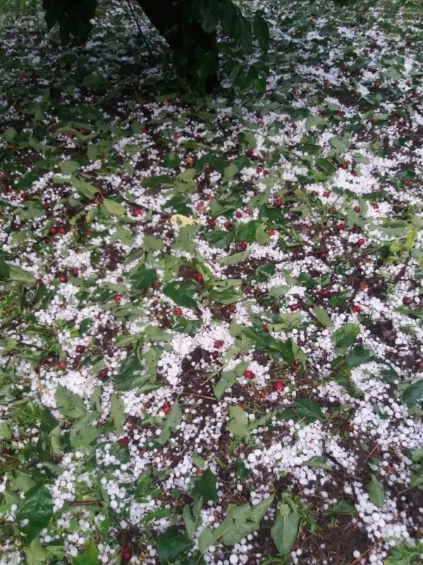 Μεσημέρι Έδεσσας: SoS για ολική καταστροφή