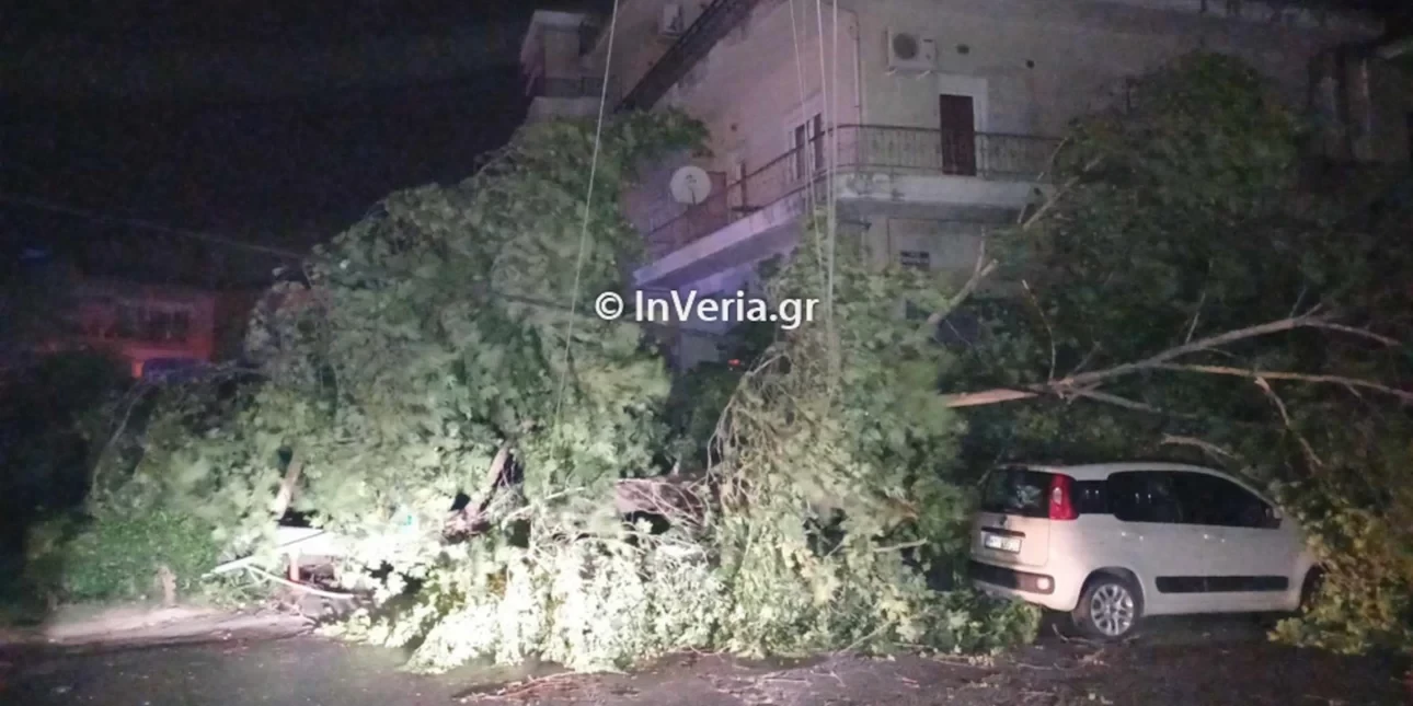 Μπουρίνι στην Ημαθία: Έπεσαν δέντρα, ξεριζώθηκαν και στέγες από τους ανέμους