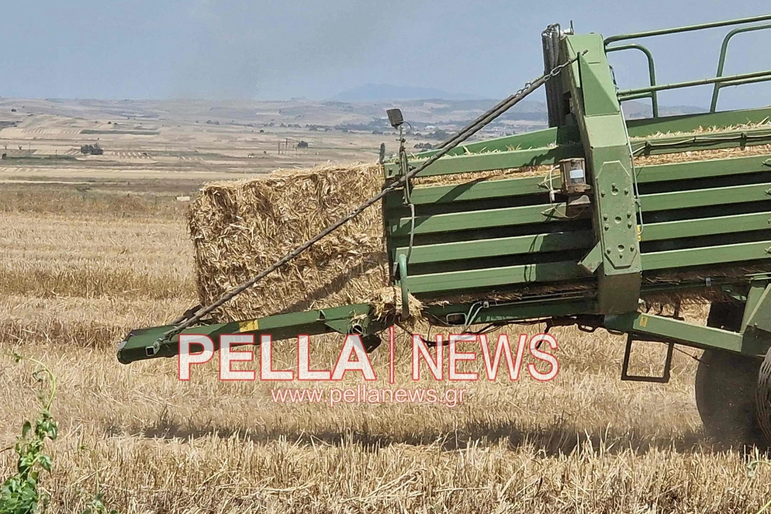 Επί πλέον 21 εκατ. για ζωοτροφές - Νέα ενισχυμένη στήριξη των κτηνοτρόφων με 50% αύξηση