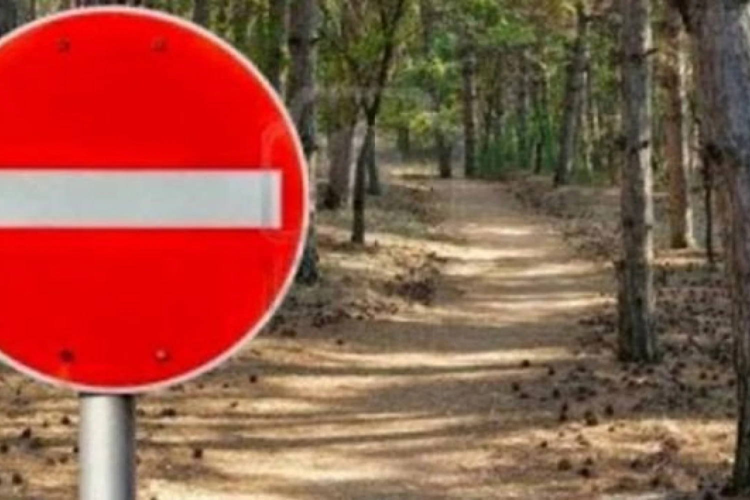 Aπαγόρευση κυκλοφορίας στο Δάσος-Πάρκο Έδεσσας  και στο Δάσος Ελευθεροχωρίου Δ. Πέλλας