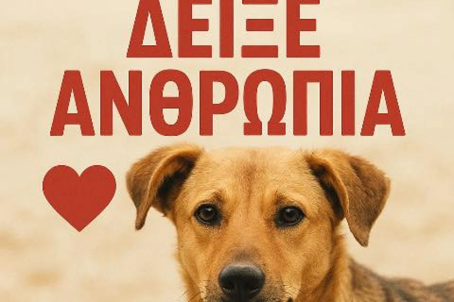 Δήμος Πέλλας: Θλίψη και αγανάκτηση