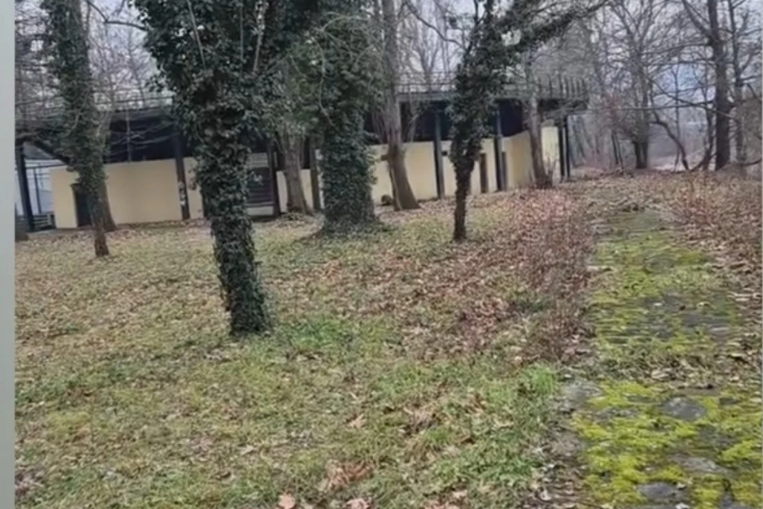 Σε εξέλιξη η μελέτη αξιοποίησης για το «δασάκι» – Διαβεβαιώσεις για συνέπεια στις δεσμεύσεις