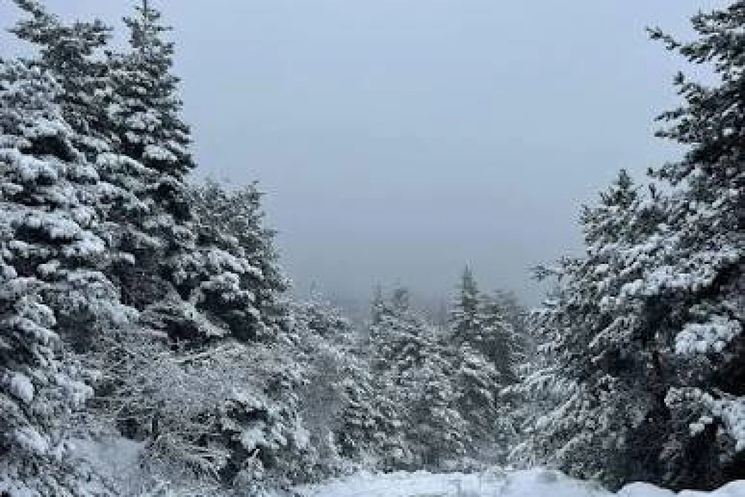 Αίσιο τέλος στην υπόθεση αγνοούμενου στο Καϊμάκτσαλαν – Βρέθηκε σώος ο 31χρονος