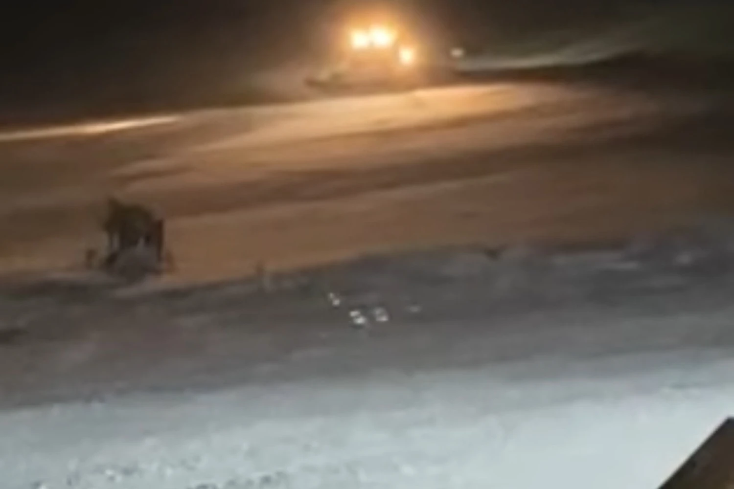 Ιορδάνης Τζαμτζής: «Βρέθηκε ο αγνοούμενος – Συγχαρητήρια σε όλους τους εμπλεκόμενους φορείς»