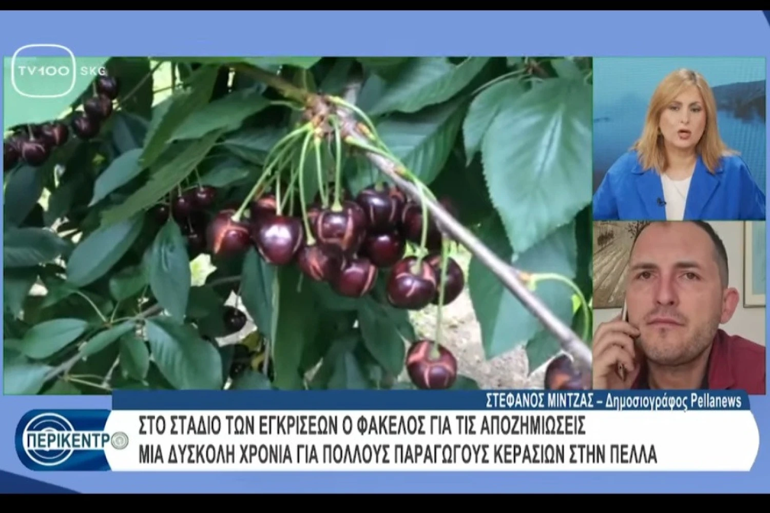 Στην εκπομπή «Περικεντρο»: Ο δημοσιογράφος Στέφανος Μίντζας για τις αποζημιώσεις στα κεράσια της Πέλλας