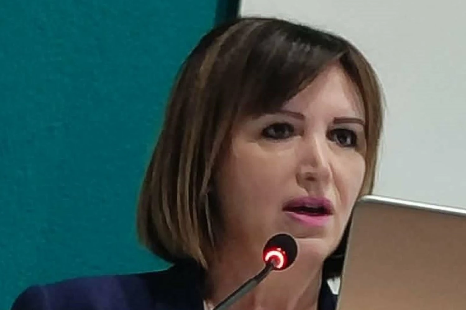 Συμμετοχή – ομιλία της Δημάρχου Σκύδρας Κατερίνας Ιγνατιάδου στο συνέδριο «Κλεισθένης»