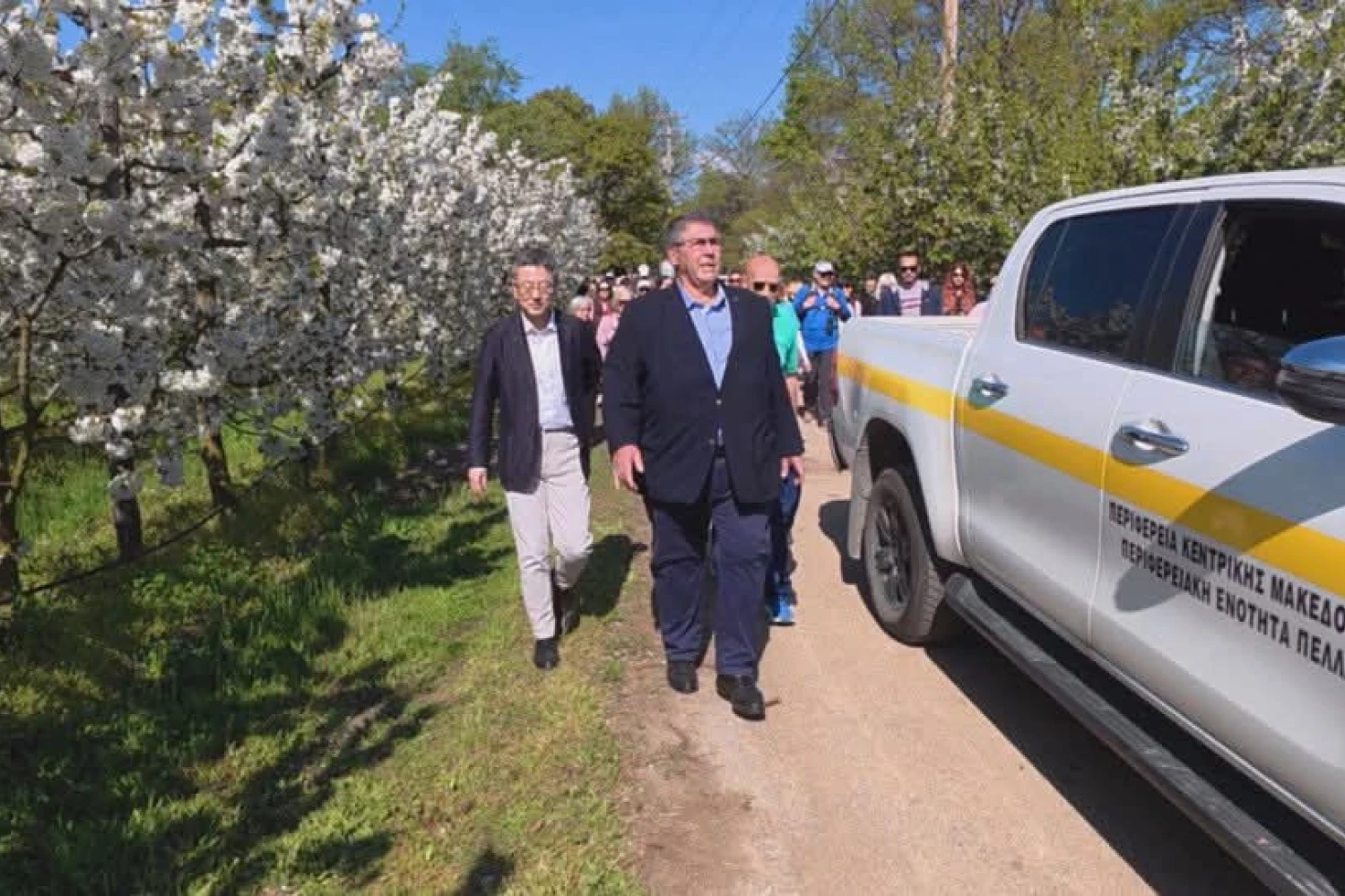 Ανθισμένες κερασιές: Η Πέλλα γιορτάζει την άνοιξη και αναδεικνύει την τοπική παραγωγή