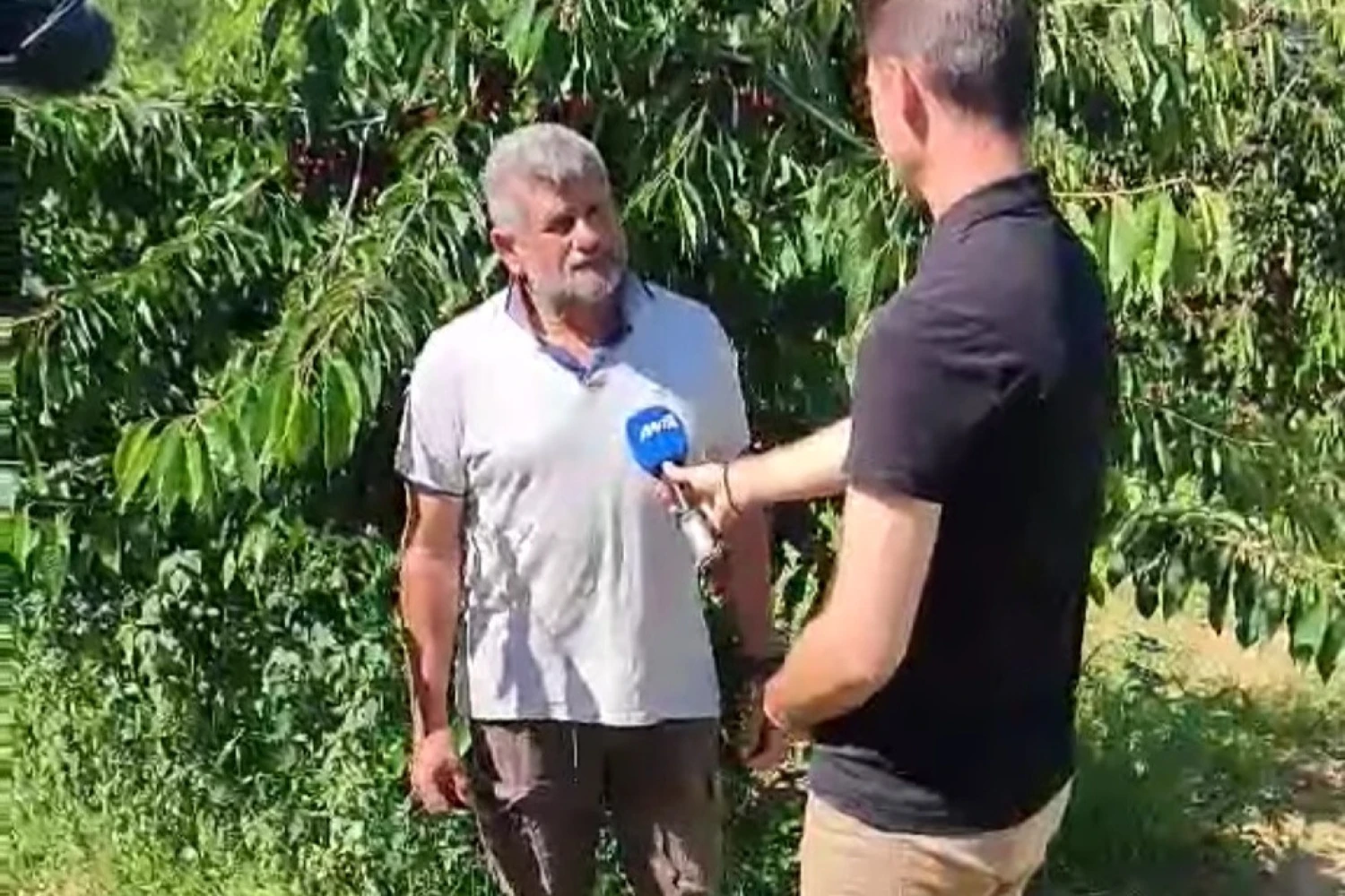 Δρένος Διονύσης στον ΑΝΤ1: «Η κυβέρνηση  καταστρέφει τους αγρότες – Οι νέοι θα φύγουν στο εξωτερικό»